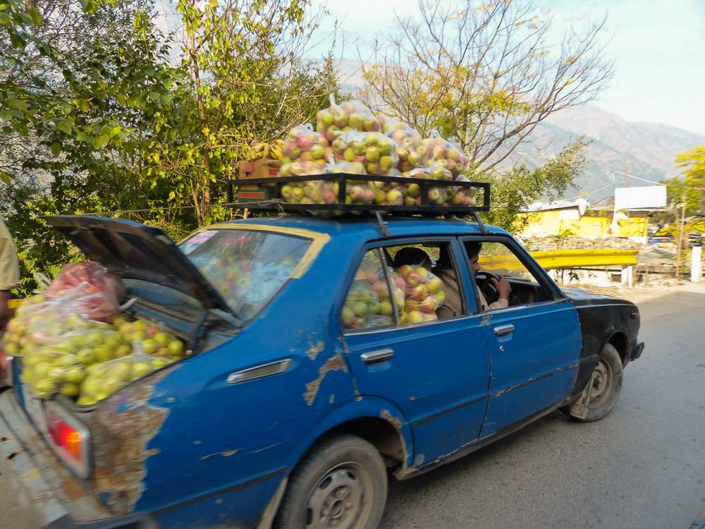 Apples are in season! So, let's load them up in the family sedan and take them to market.