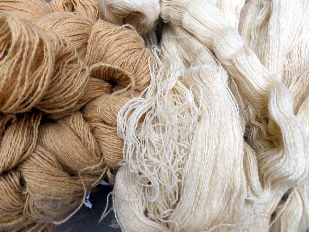 Regular market quality wool on the left with Bunyaad selected wool on the right