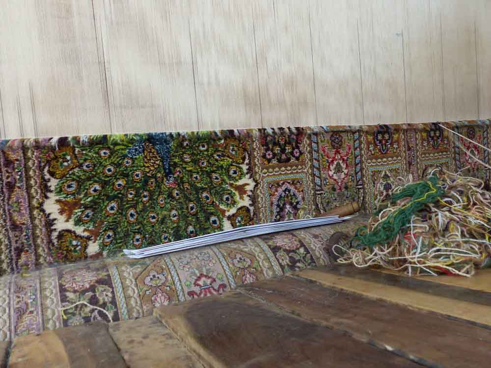 Peacock design on Rasoom's 9 x 12 foot rug.