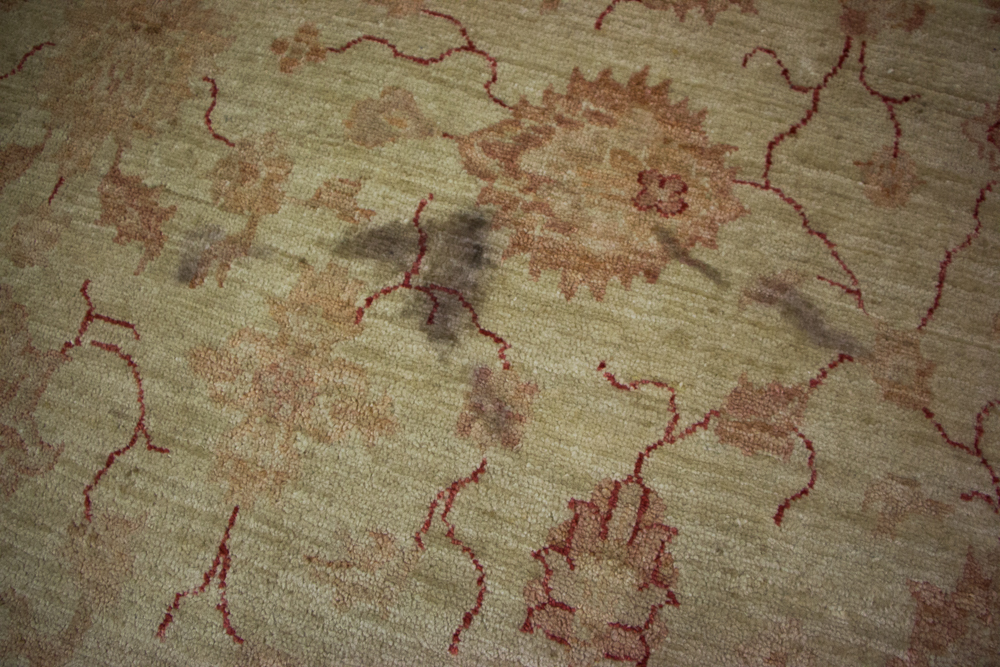 Rug with stains